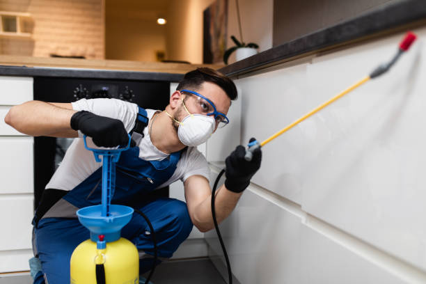 Reliable North Beach, MD Pest Control Solutions