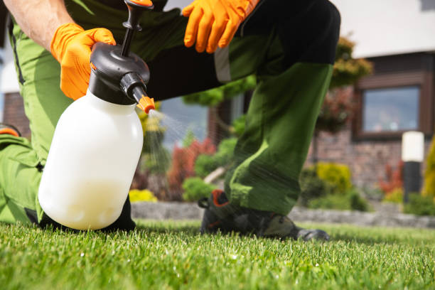 Best Insect Control  in North Beach, MD