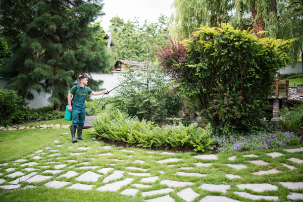 Best Commercial Pest Control Services  in North Beach, MD