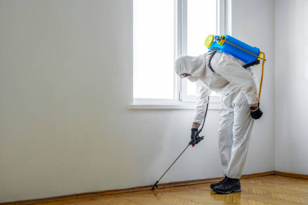 Best Wasp Removal Services  in North Beach, MD