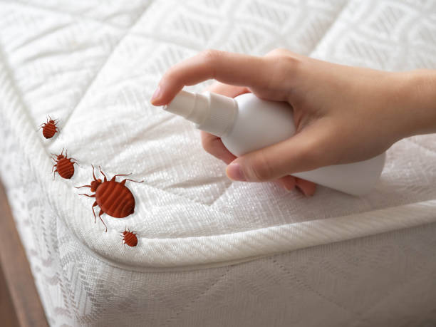 Best Pest Control for Restaurants  in North Beach, MD